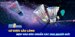 Cá Cược Cầu Lông - Mẹo Vào Kèo Chuẩn Xác Đơn Giản, Dễ Hiểu