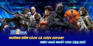 Cách Cá Cược Esport Hiệu Quả Nhất Cho Tân Thủ